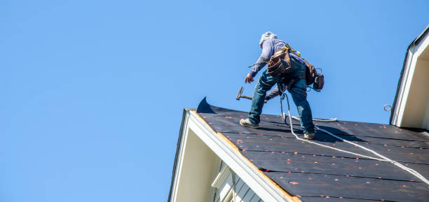 Best New Roof Installation  in Kalaheo, HI